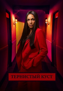 Терновый куст (2019) бесплатно