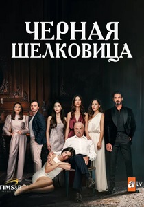 сериал Чёрная шелковица (2024)